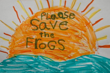 Please Save the Frogs